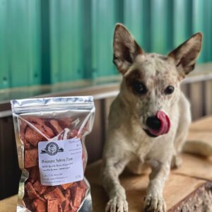 Bisonguy Spleen Treats