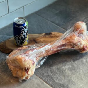 Dino Dog Bone
